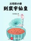 从司农小吏到寰宇仙皇